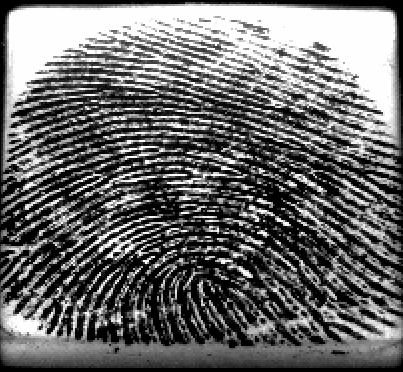 Fingerprint Preview